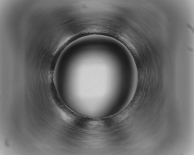 X0000095880160200801111141