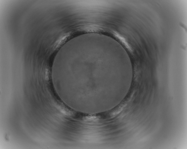 X0000095880161200801111141