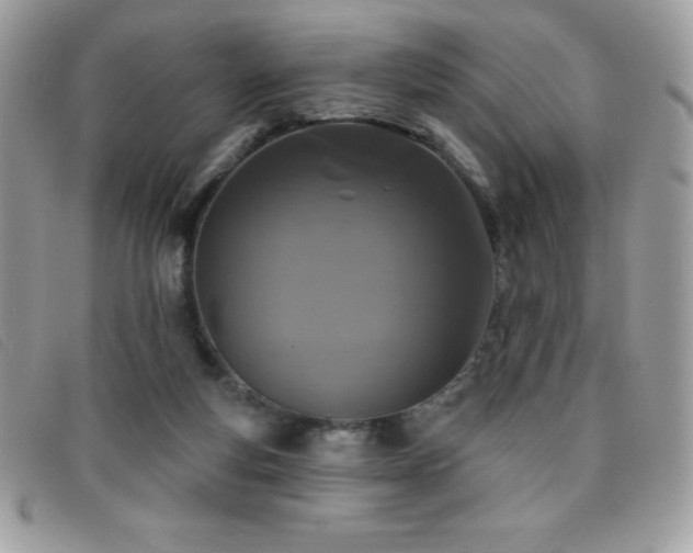 X0000095880163200801111141
