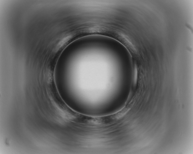 X0000095880164200801111141