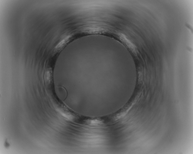 X0000095880165200801111141
