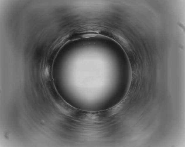 X0000095880166200801111141