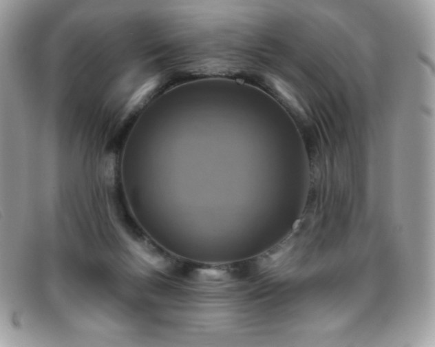 X0000095880167200801111141