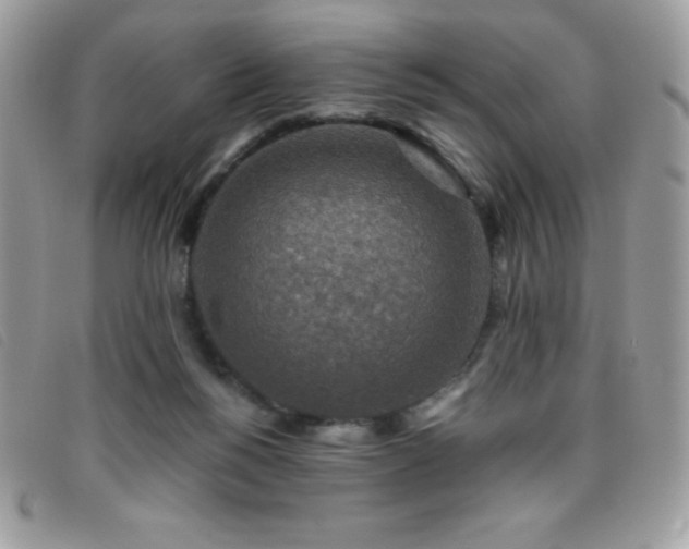 X0000095880168200801111141