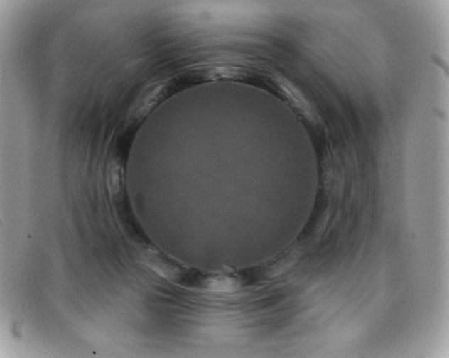 X0000095880169200801111141