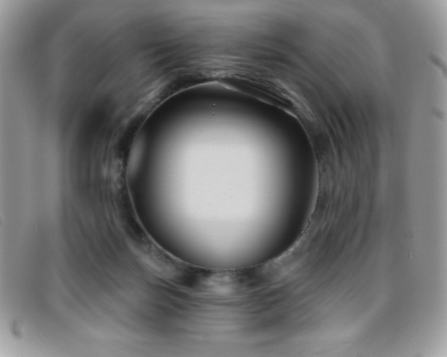 X0000095880171200801111141