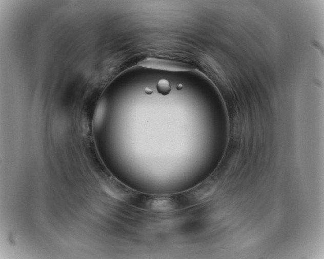 X0000095880173200801111141
