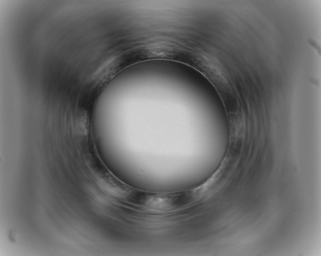 X0000095880174200801111141