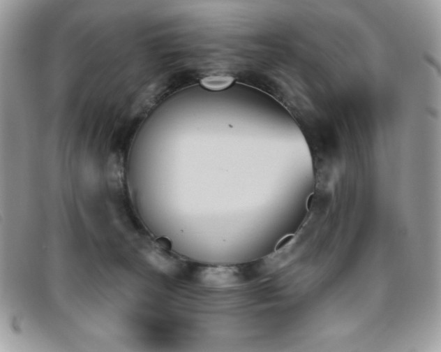 X0000095880179200801111141