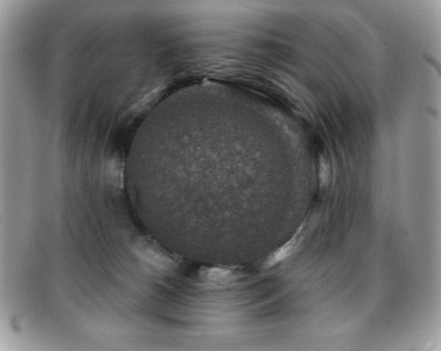 X0000095880180200801111141
