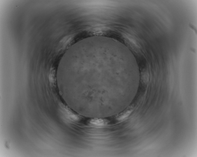 X0000095880181200801111141