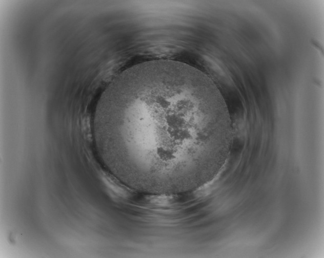 X0000095880182200801111141
