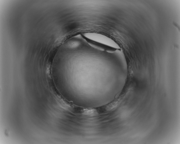 X0000095880185200801111141