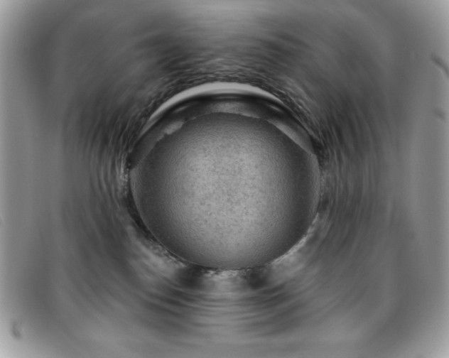 X0000095880186200801111141