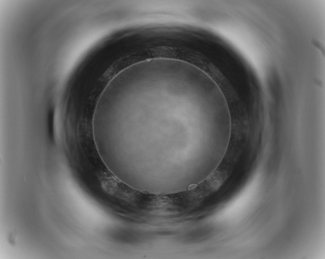 X0000095880189200801111141