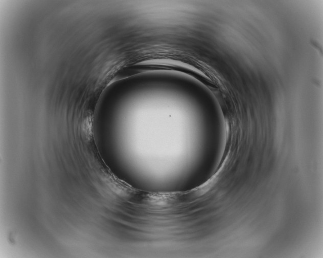 X0000095880190200801111141