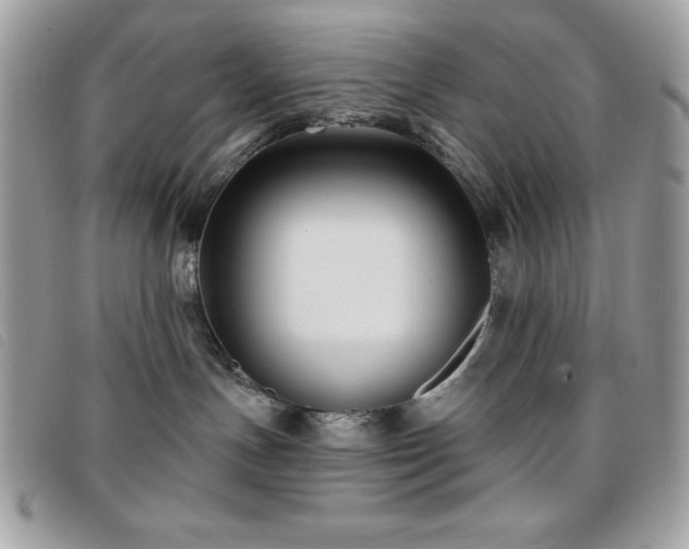 X0000095880191200801111141