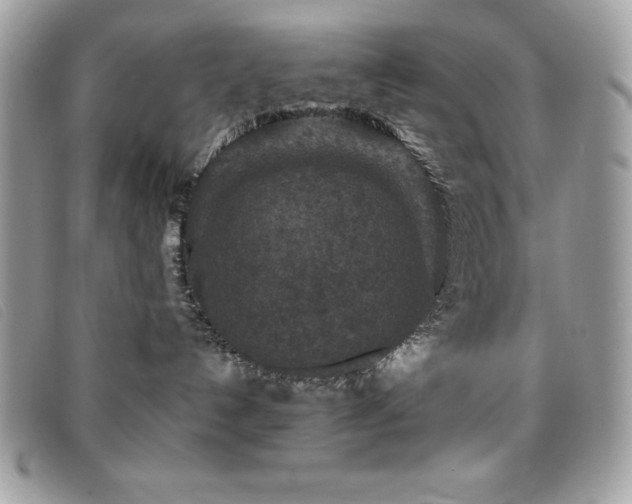 X0000095880192200801111141