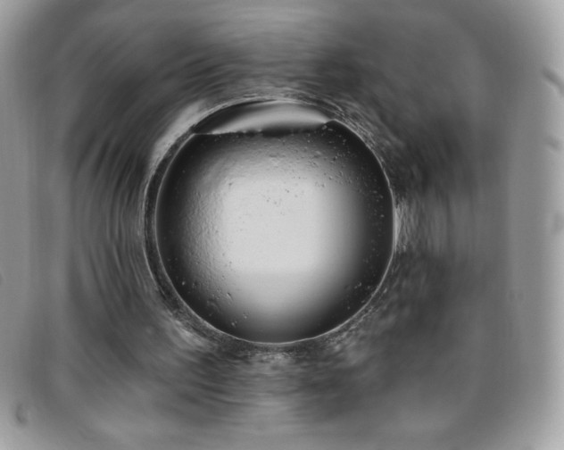 X0000095880195200801111141