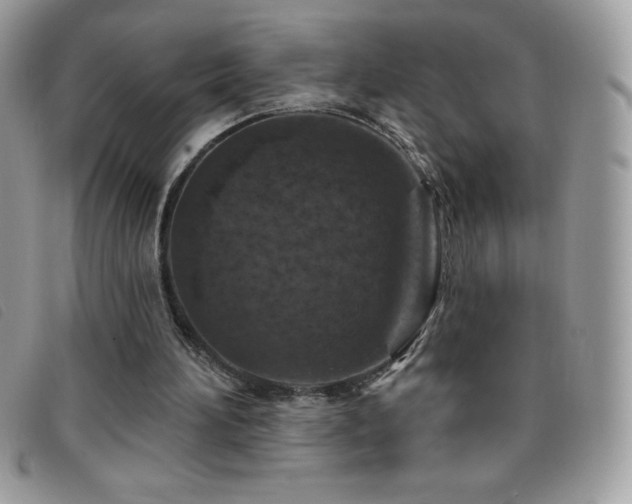 X0000095880196200801111141