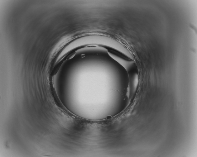X0000095880197200801111141