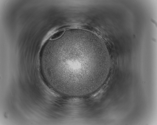 X0000095880198200801111141