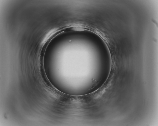 X0000095880199200801111141