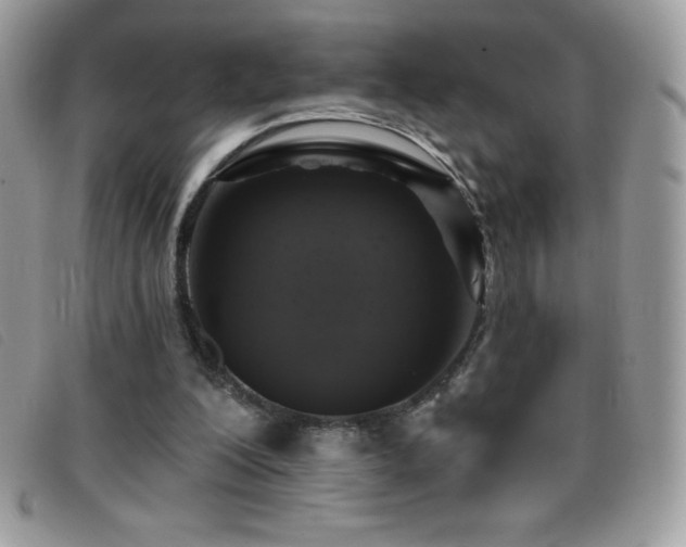 X0000095880200200801111141