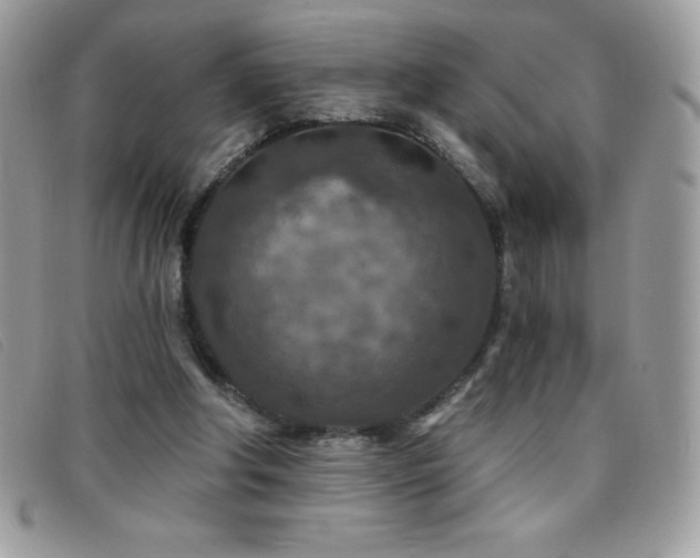 X0000095880202200801111140