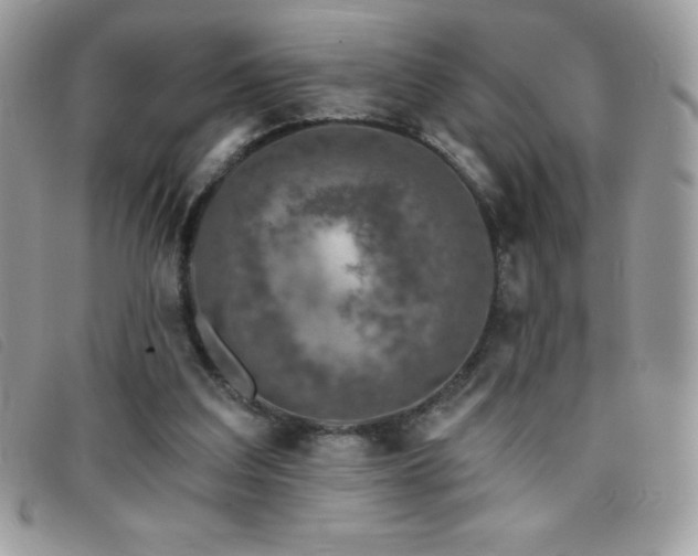 X0000095880203200801111140