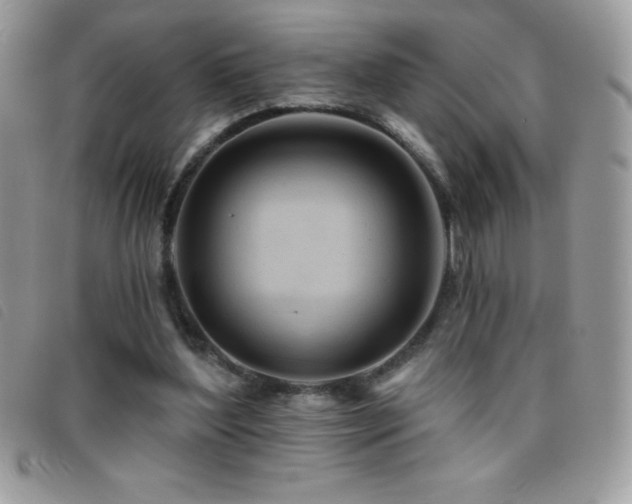 X0000095880204200801111140