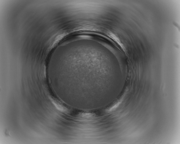 X0000095880205200801111140