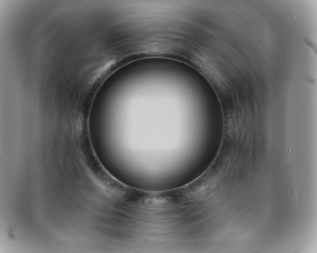 X0000095880208200801111140