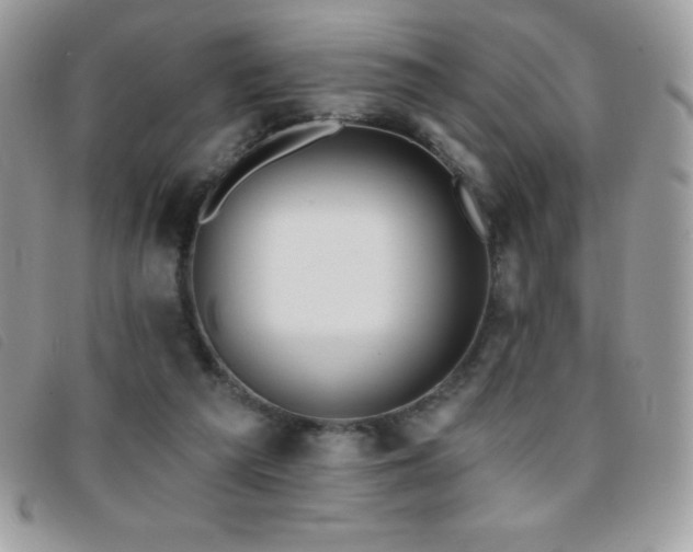 X0000095880209200801111140