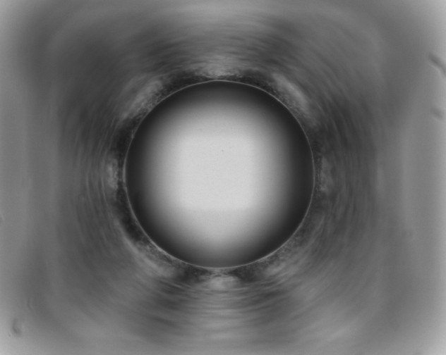 X0000095880210200801111140