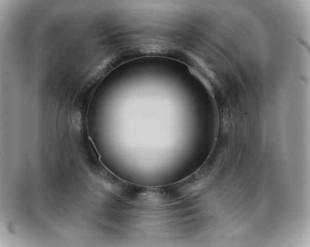 X0000095880211200801111140