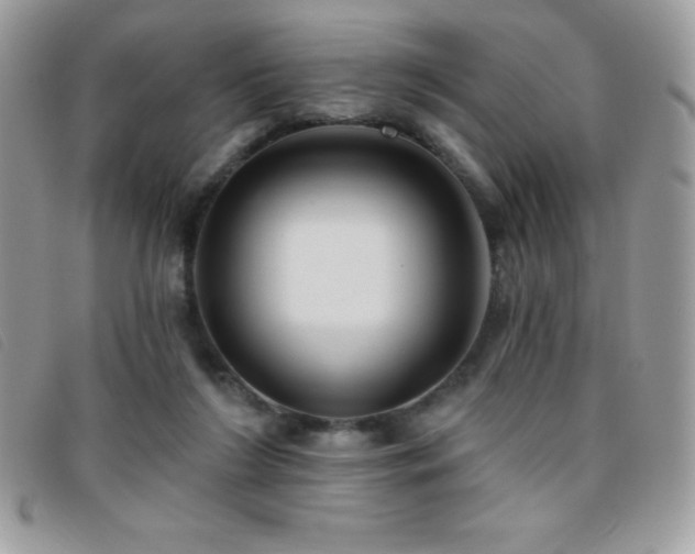X0000095880212200801111140