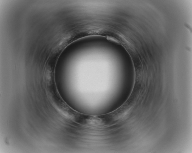 X0000095880215200801111140