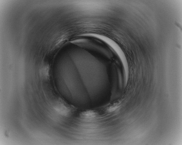X0000095880219200801111140