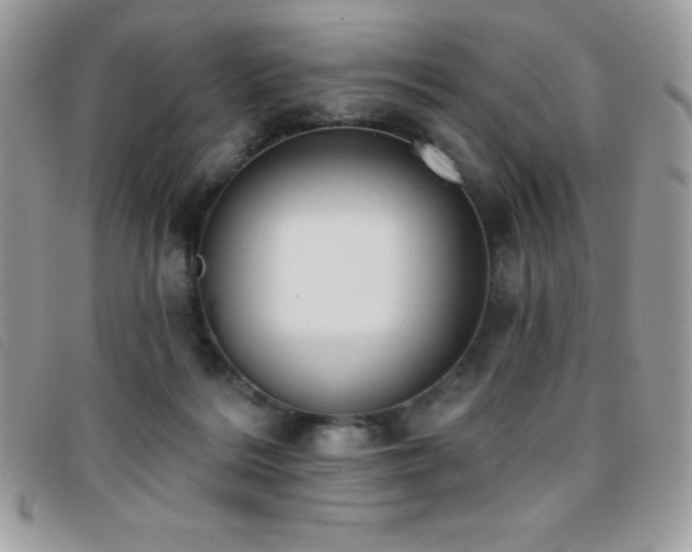 X0000095880220200801111140