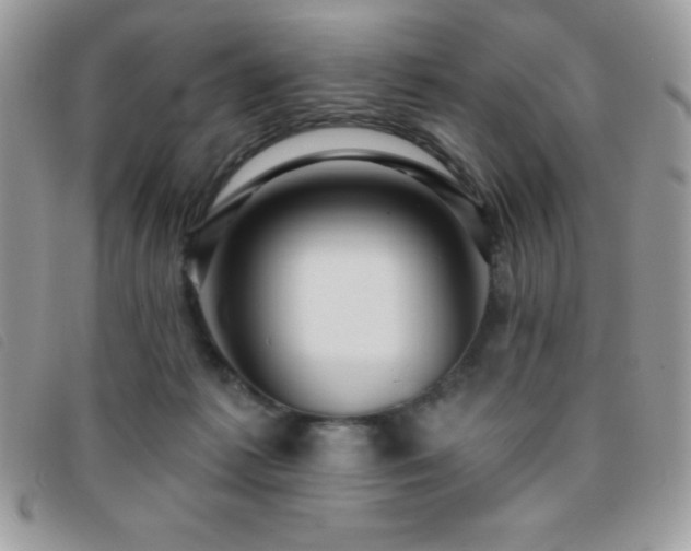 X0000095880221200801111140
