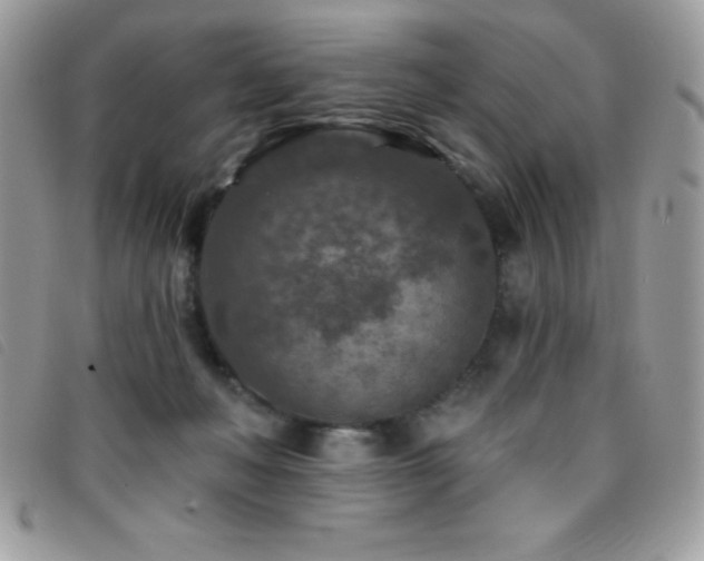 X0000095880222200801111140