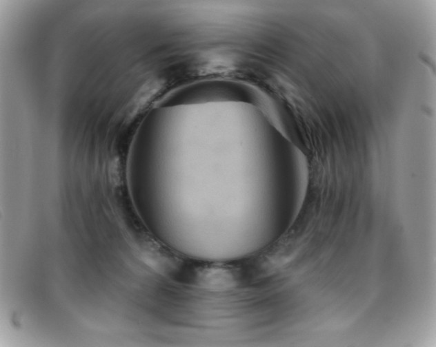 X0000095880224200801111140