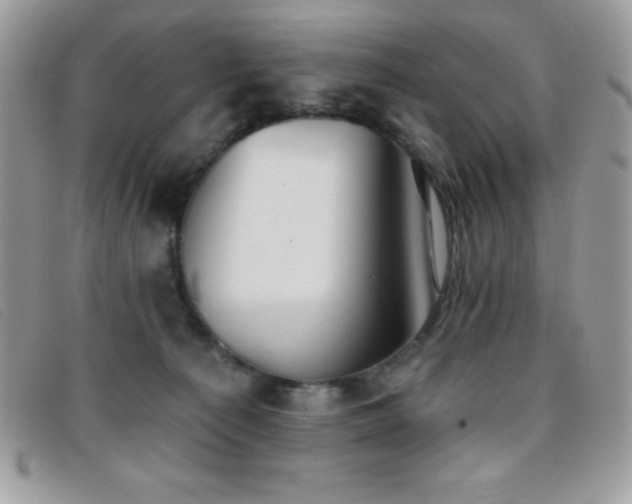X0000095880225200801111140