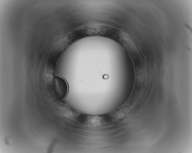 X0000095880226200801111140