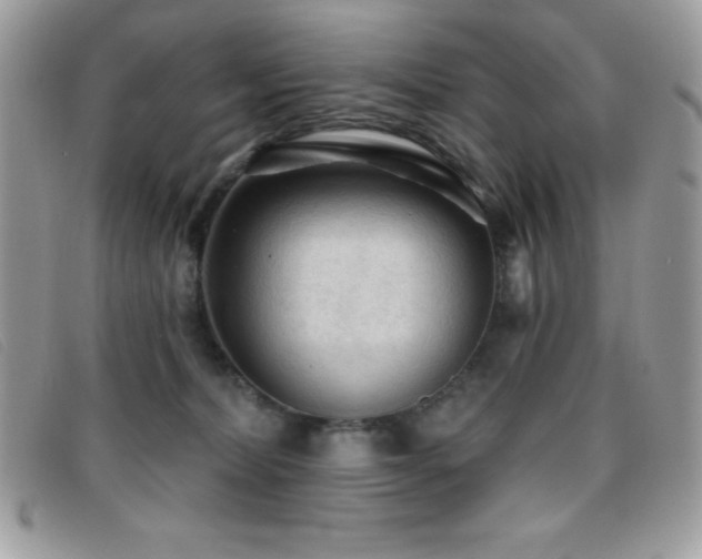 X0000095880228200801111140