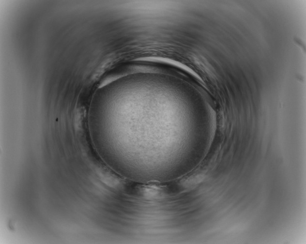 X0000095880229200801111140