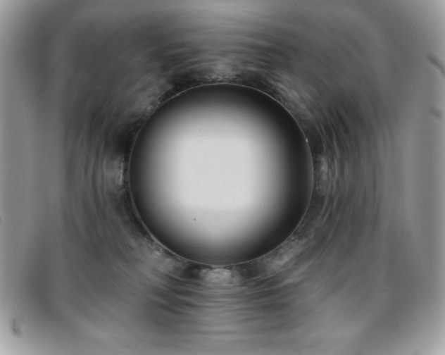 X0000095880230200801111140