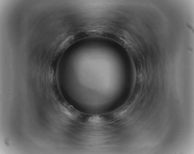 X0000095880231200801111140