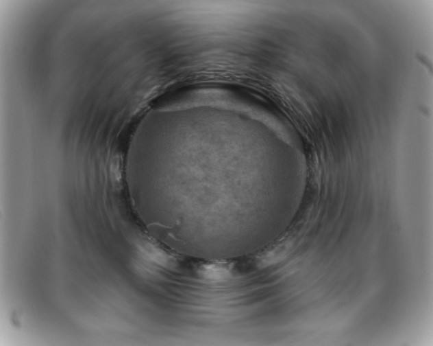 X0000095880232200801111140